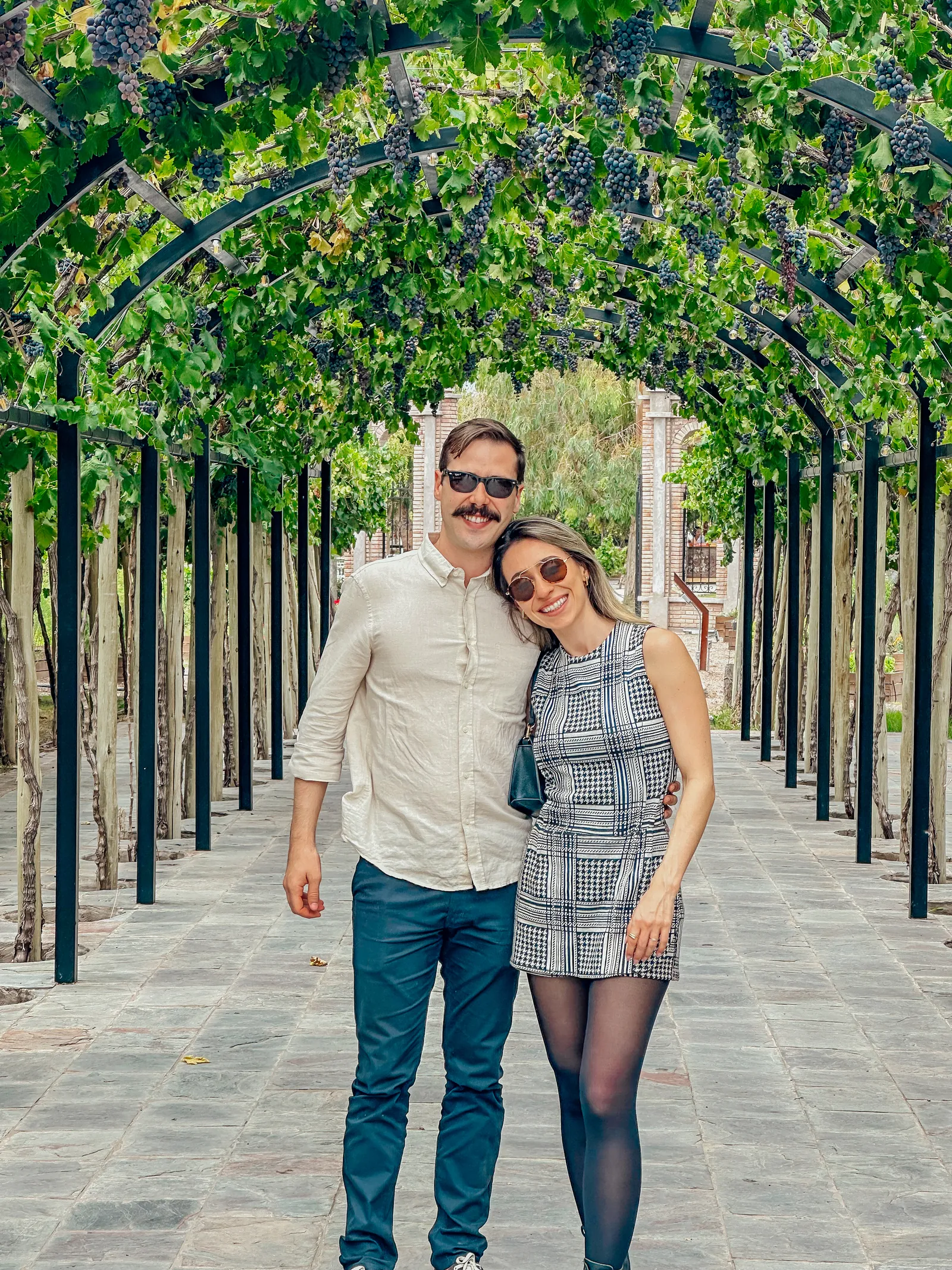 O casal num passeio entre parreiras